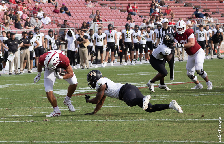 stanford football 2024